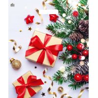 Пакет 380х450 мм, 60 мкм с проруб. ручками, диз. "Новогодние презенты", ПВД, 50 шт/упак "Тикопластик" 500 шт/кор РОССИЯ н00246096