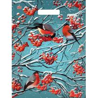 Пакет 310х400 мм, 60 мкм, с проруб. ручками, диз. "Снегири на рябине", ПВД, 50 шт/упак "Тикопластик" 500 шт/кор РОССИЯ н00223887