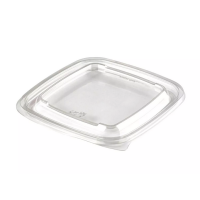 Крышка к контейнеру 160х160х5 мм, прозр., ПЭТ, 50 шт/упак "ЮПласт" 450 шт/кор РОССИЯ ЮпК-1616-К ЮУПМ6032/ЮУПМ6211