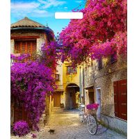 Пакет 380х450 мм, 60 мкм с проруб. ручками, диз. "Итальянский дворик", ПВД, 50 шт/упак "Тикопластик" 500 шт/кор РОССИЯ н00135610