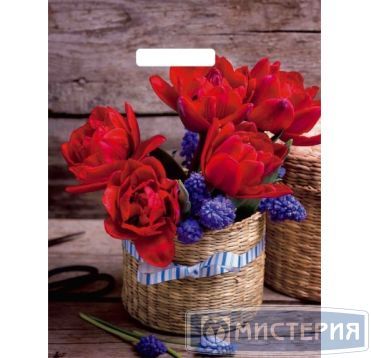 Пакет 310х400 мм, 60 мкм с проруб. ручками, диз. "Элисон", ПВД, 50 шт/упак 1 000 шт/кор РОССИЯ BYP51543