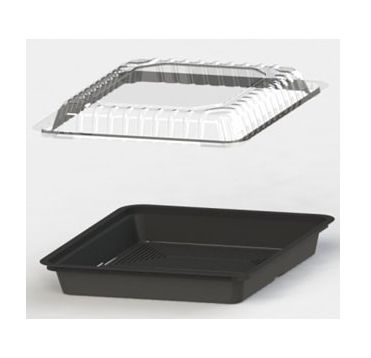 Крышка для контейнера для суши, 169*151*40мм, прозрачная