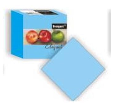 Салфетки 250х250 мм 2-сл., голуб., бум., 50 шт/упак "Bouquet" 28 упак/кор РОССИЯ 57349