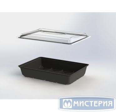 Упаковка д/десерта, прямоуг., внеш. 305х215х55мм, внутр. 270х180х55мм, чёрн., ПС